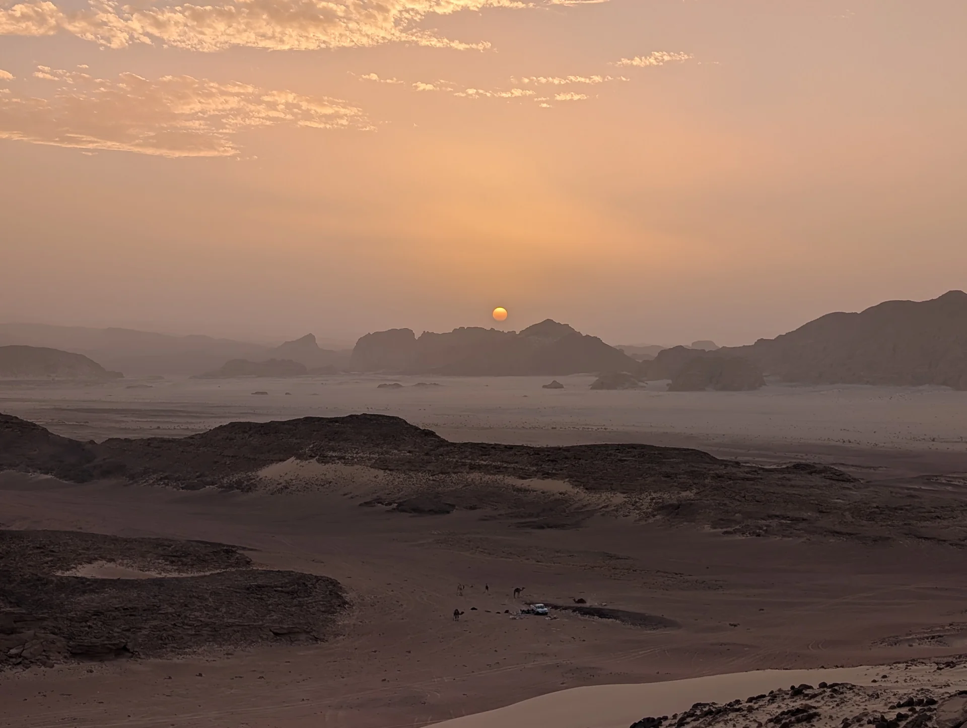 Kamelkarawane in der Wüste des Süd-Sinai bei goldenem Sonnenuntergang